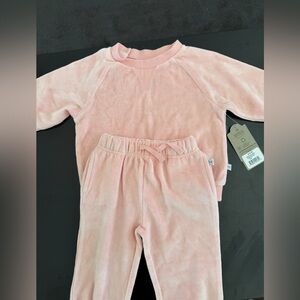 NWT Pink honest baby clothing  Sweatshirt and Pants Set